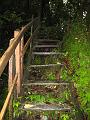 1300 steps up on the Enbas Saut Falls Hike